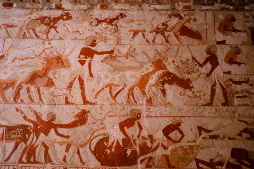 image EGYPTE2_396.jpg