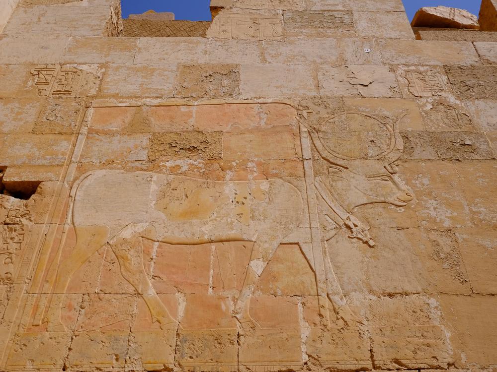 image EGYPTE2_405.jpg