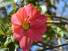 image Equateur_037.jpg