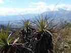 image Equateur_042.jpg