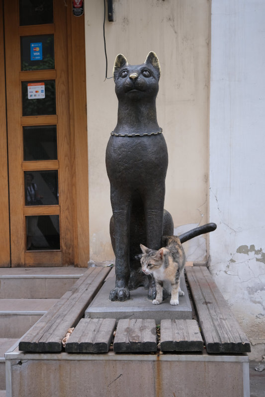 image GEORGIE_022.jpg