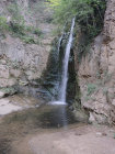 image GEORGIE_014.jpg