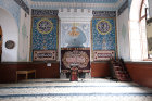 image GEORGIE_015.jpg
