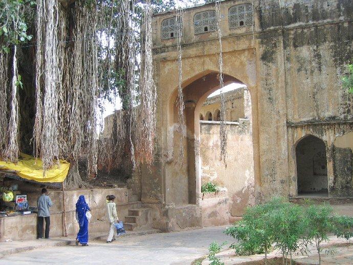 Image Inde_013.jpg