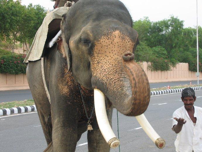 Image Inde_015.jpg