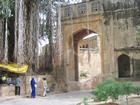 Image Inde_013.jpg