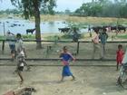 Image Inde_037.jpg