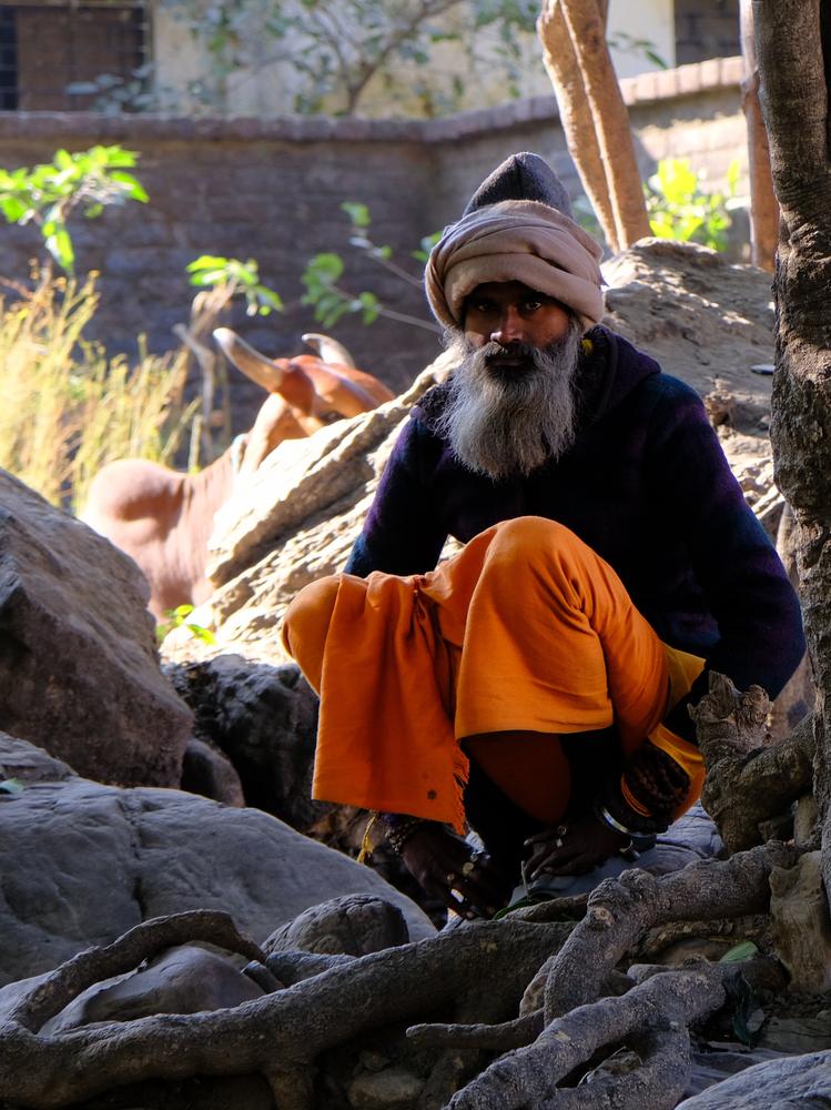 image INDE2_020.jpg