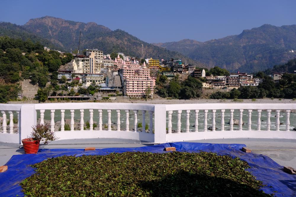 image INDE2_027.jpg