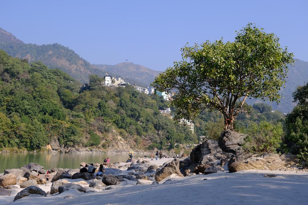 image INDE2_037.jpg