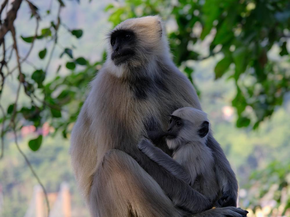 image INDE2_040.jpg