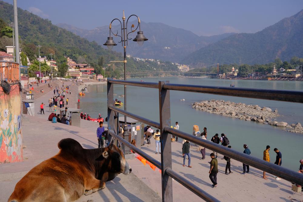 image INDE2_041.jpg