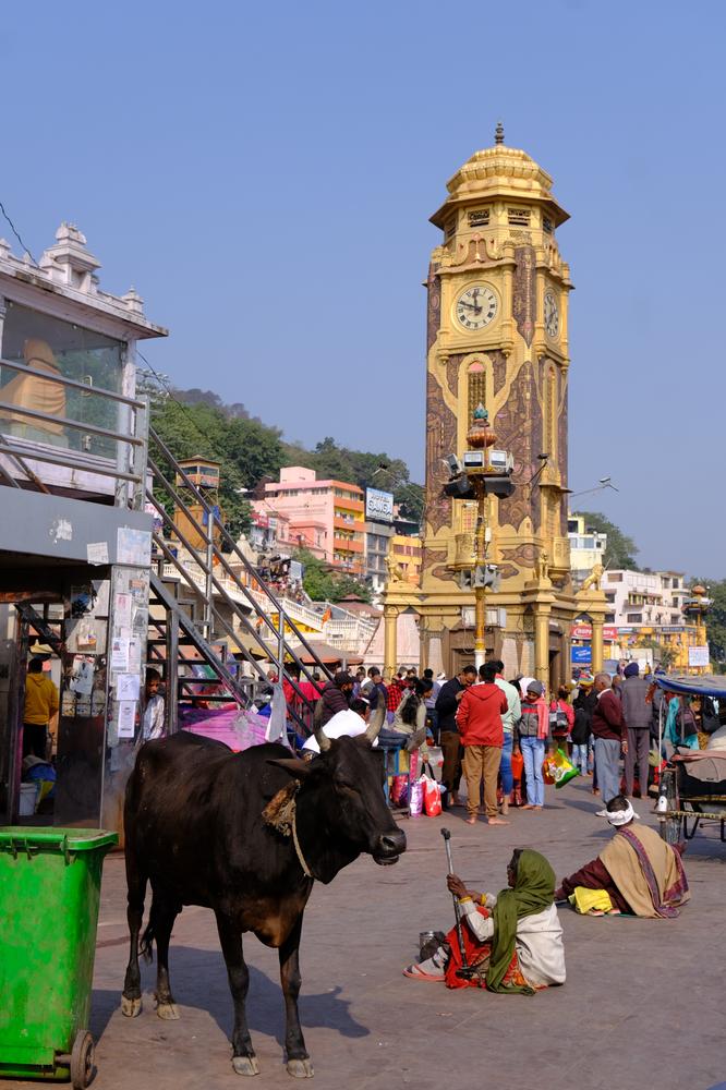 image INDE2_066.jpg