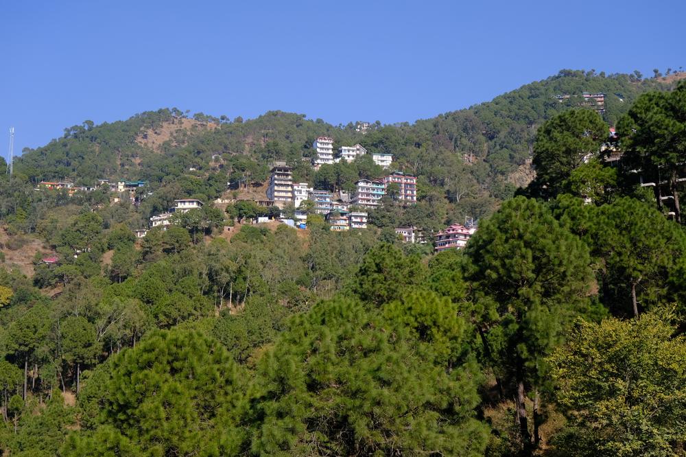 image INDE2_117.jpg