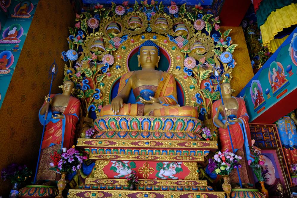 image INDE2_175.jpg