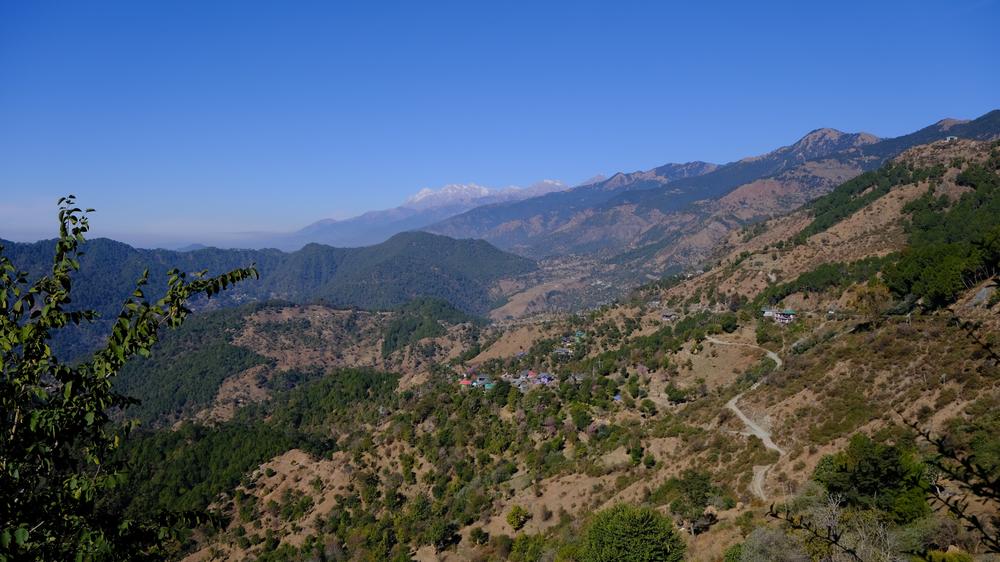 image INDE2_202.jpg