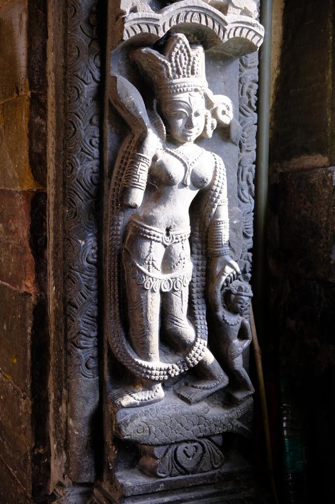 image INDE2_217.jpg