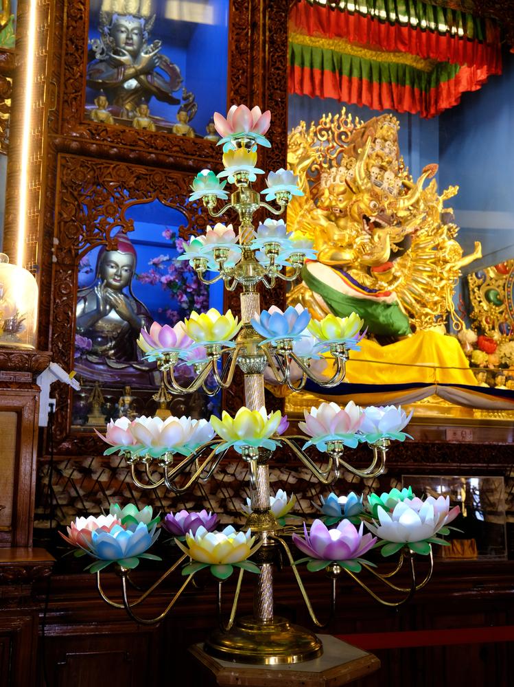 image INDE2_235.jpg