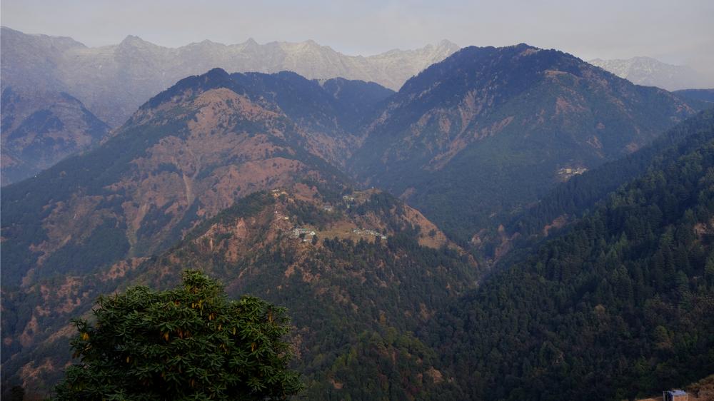 image INDE2_248.jpg
