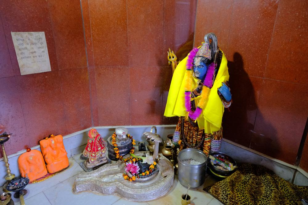 image INDE2_273.jpg