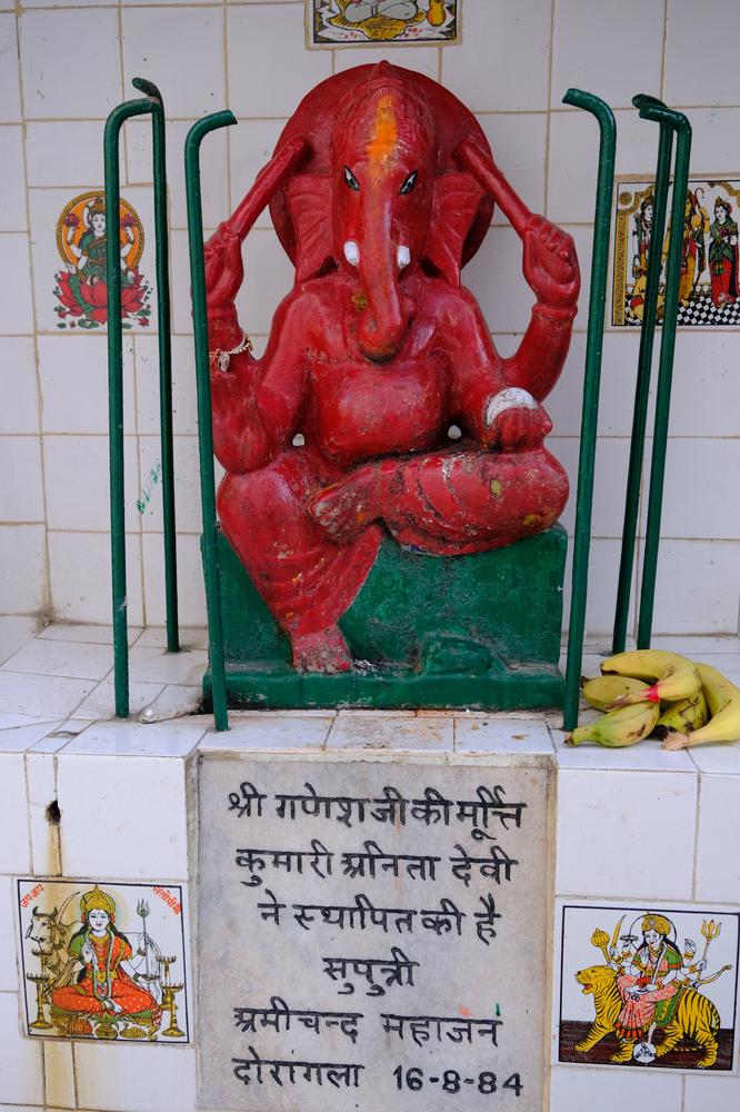 image INDE2_274.jpg
