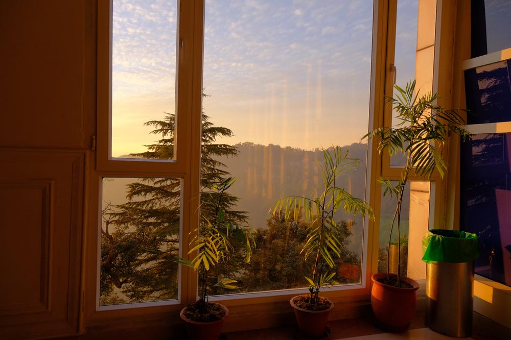 image INDE2_277.jpg