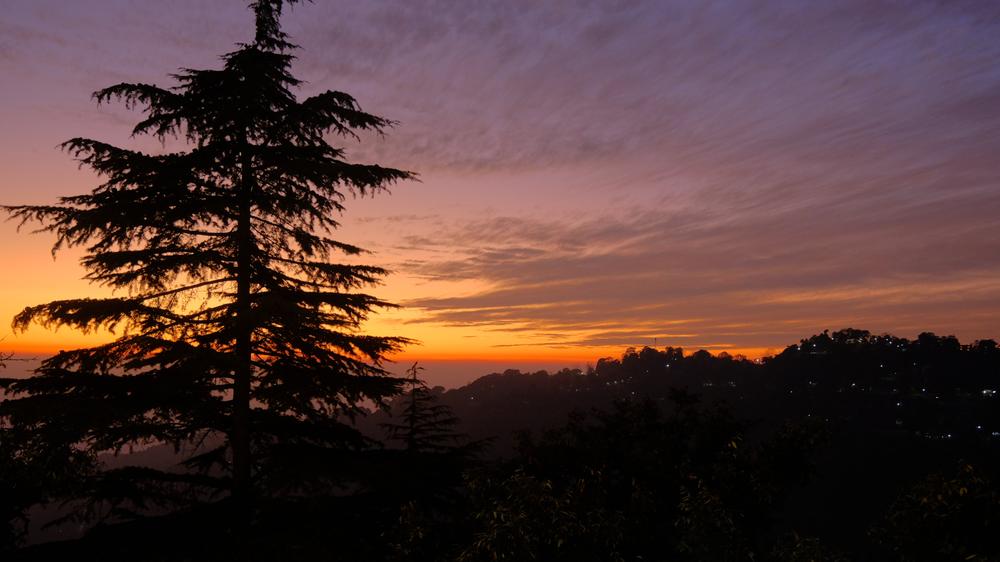 image INDE2_278.jpg