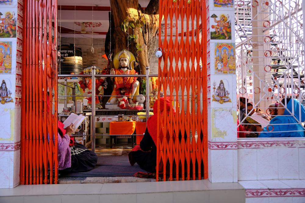 image INDE2_319.jpg