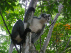 image Indonesie_017.jpg