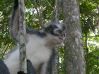 image Indonesie_018.jpg