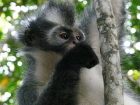 image Indonesie_019.jpg