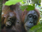 image Indonesie_028.jpg