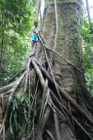 image Indonesie_029.jpg