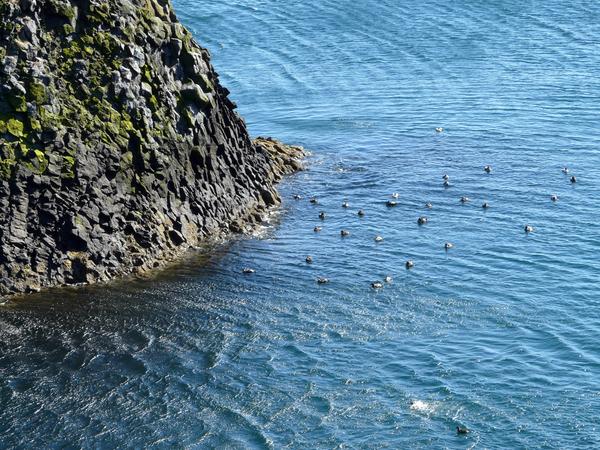 image Islande_026.jpg