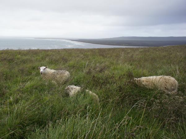 image Islande_055.jpg