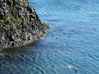 image Islande_026.jpg
