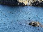 image Islande_027.jpg