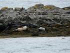 image Islande_051.jpg