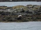 image Islande_052.jpg