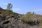 image ItalieSud_024.jpg