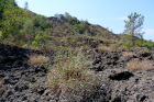 image ItalieSud_025.jpg