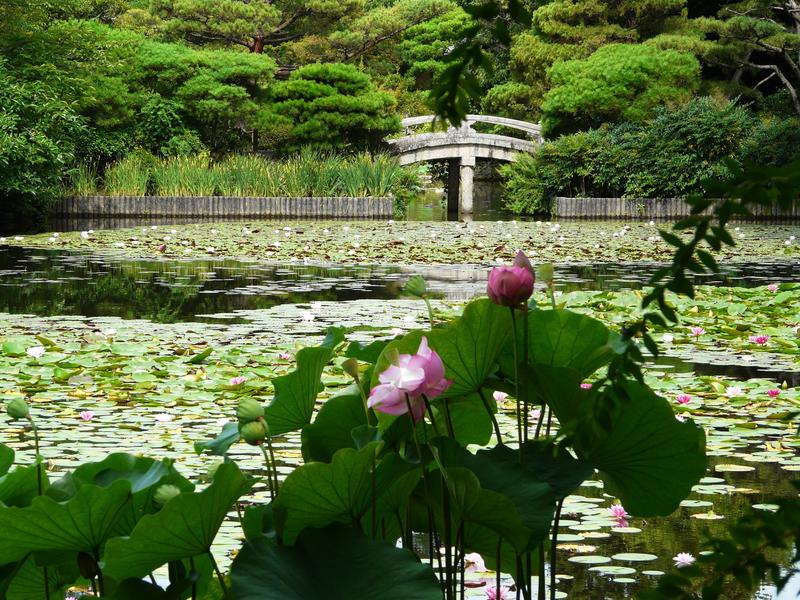 image Japon_011.jpg