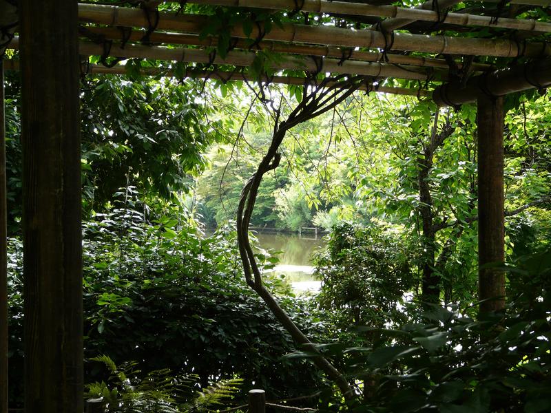 image Japon_016.jpg