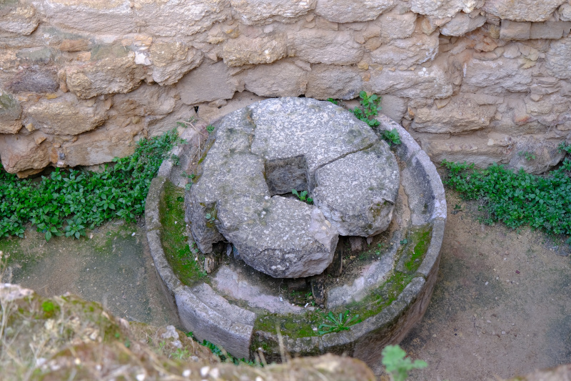 image Jordanie_032.jpg
