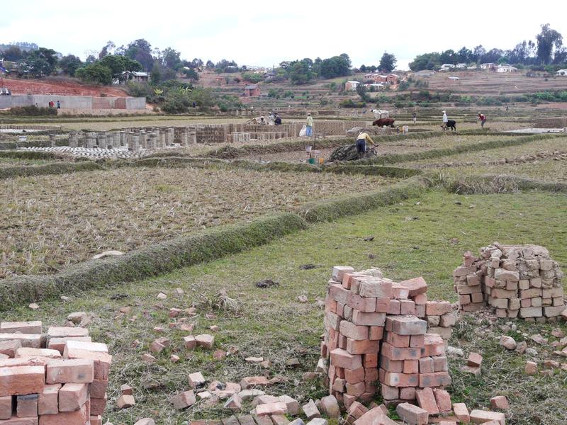 image Madagascar_002.jpg