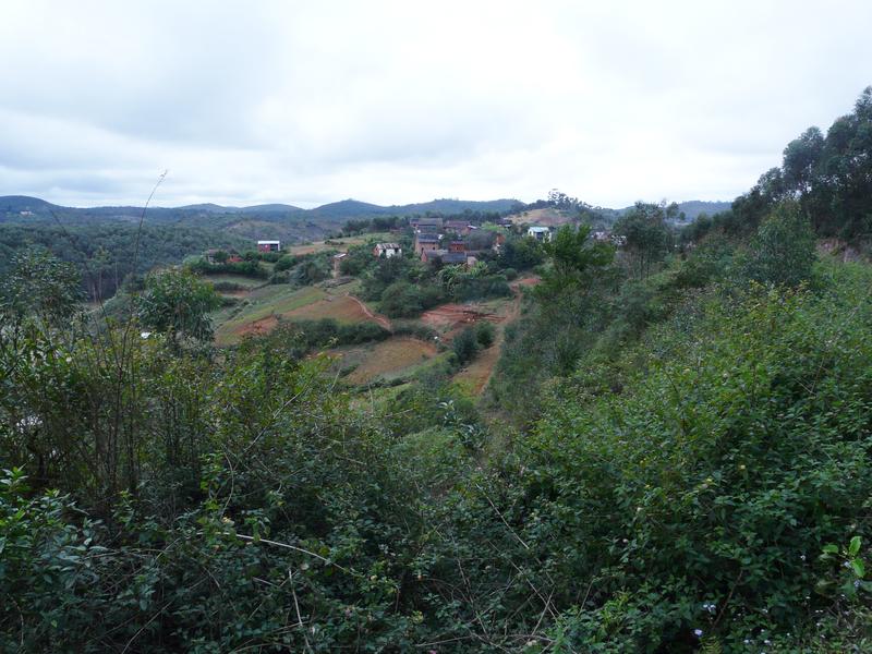 image Madagascar_012.jpg