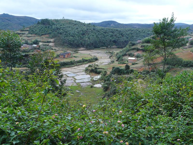 image Madagascar_013.jpg