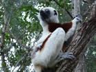 image Madagascar_018.jpg