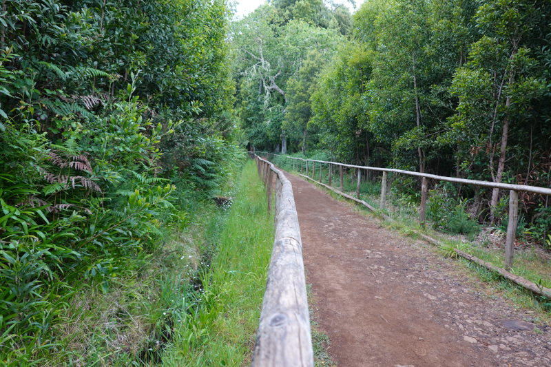 image MADERE_002.jpg