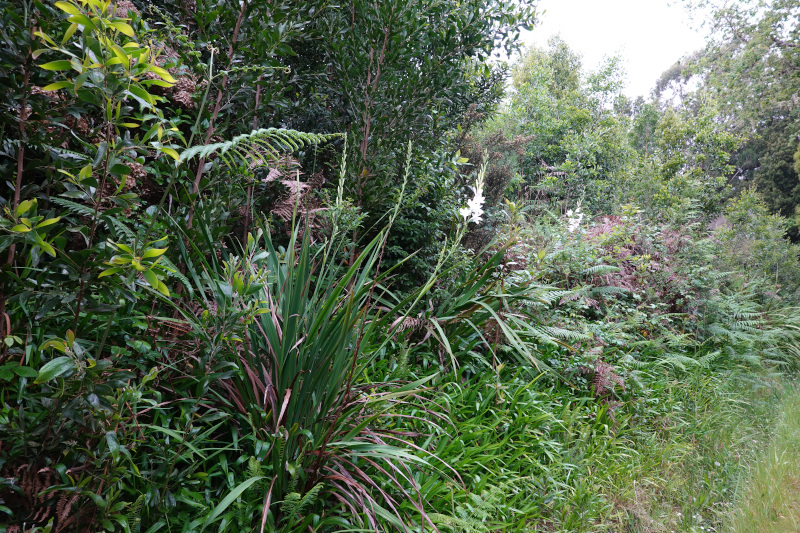 image MADERE_003.jpg